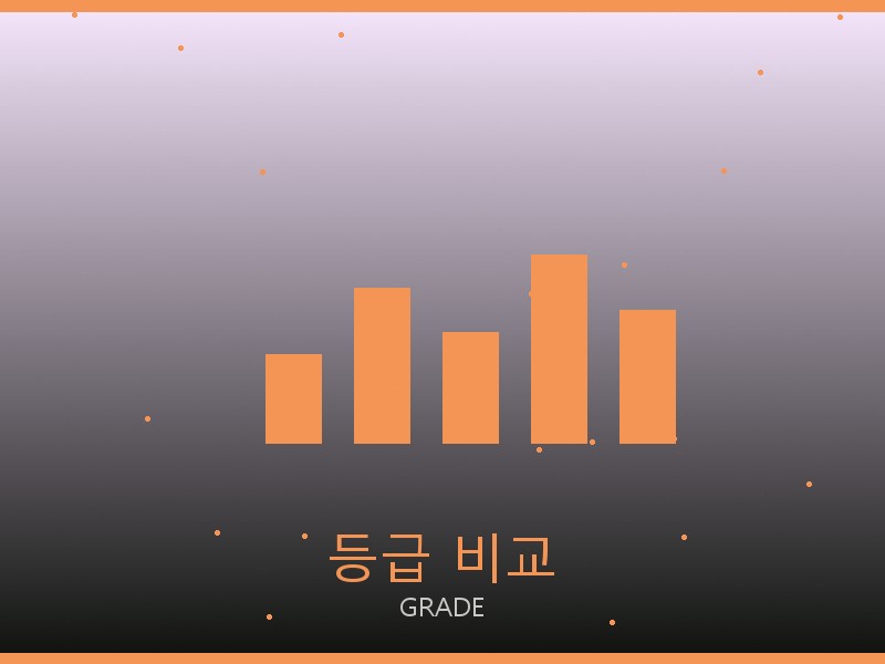 S급 레플리카 정보 등급 기준 비교